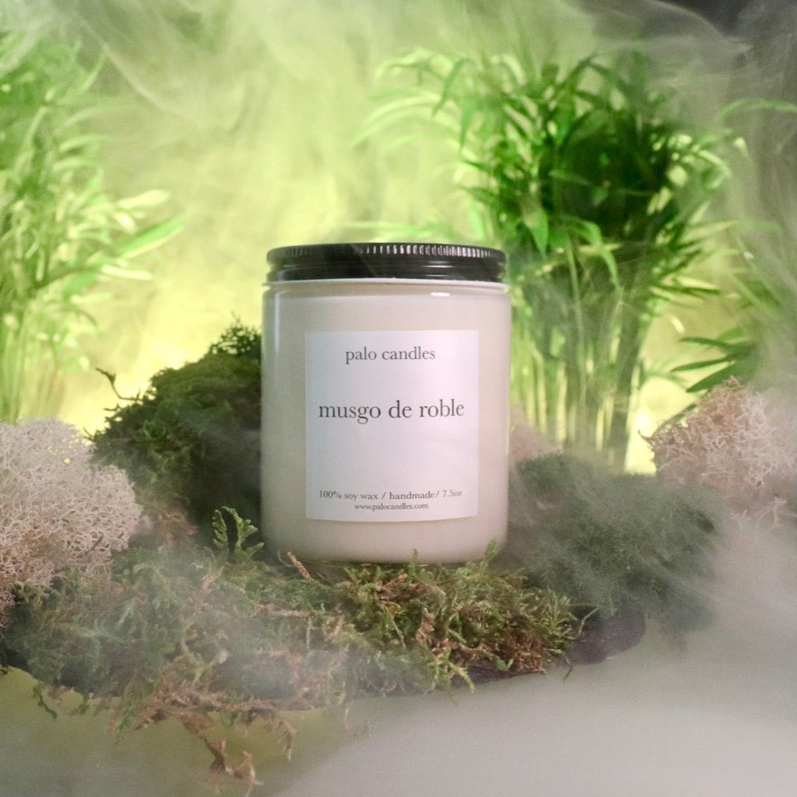 Nº10 musgo de roble