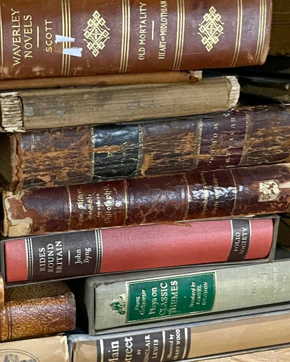 nº3 biblioteca [library] - diffuser