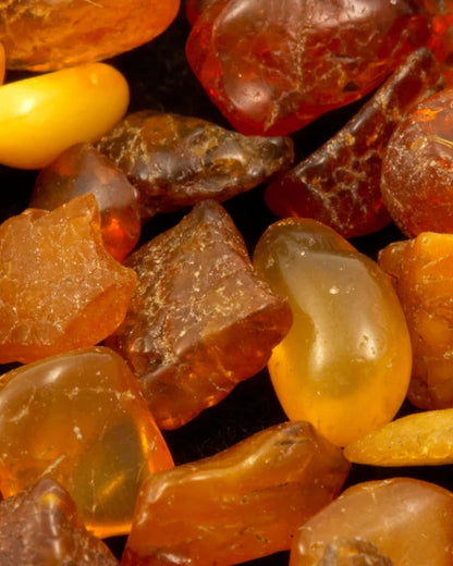 nº1 ambar [egyptian amber] - diffuser